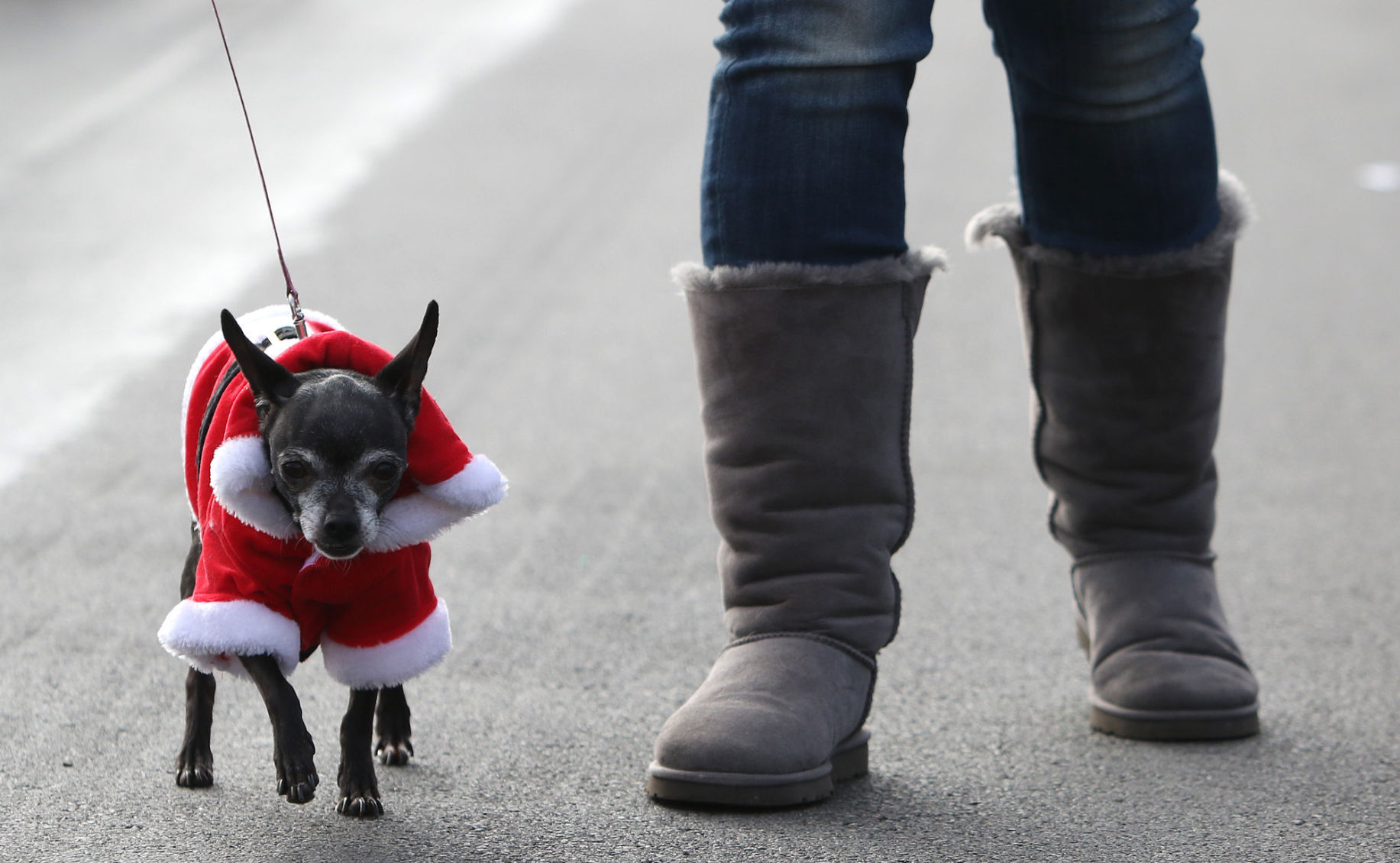 Hammond's holiday parade